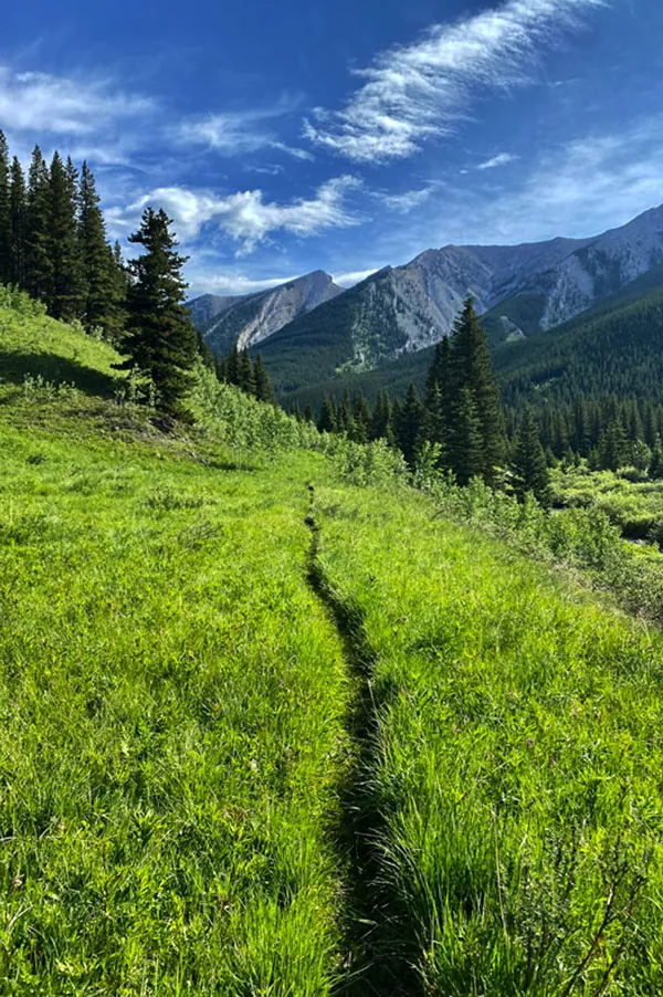 Cataract Creek Trail