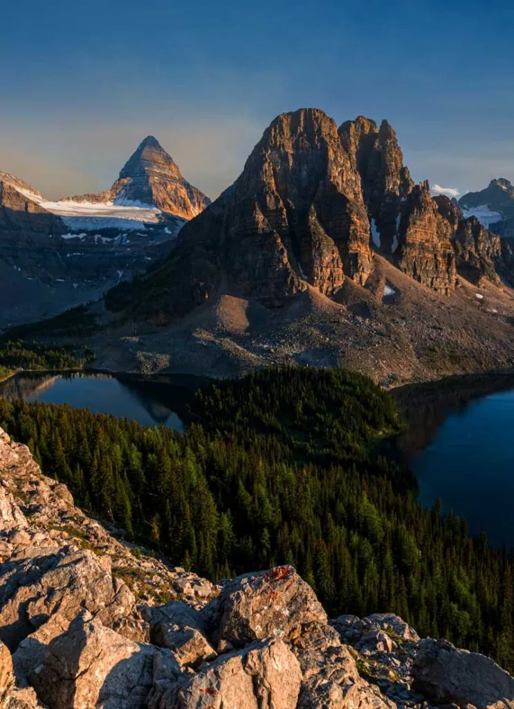 bronzed assiniboine