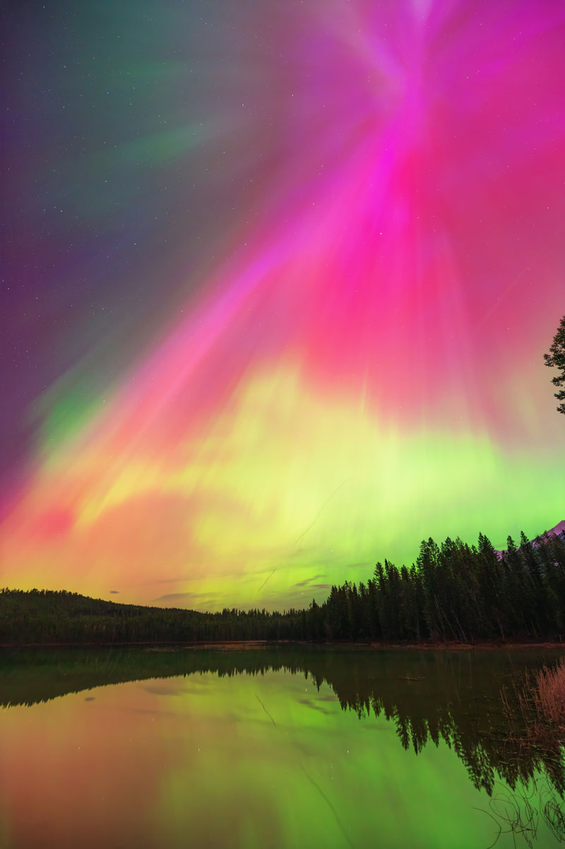Aurora Borealis 8 _coronal-dancer-twoDSC_5399-800