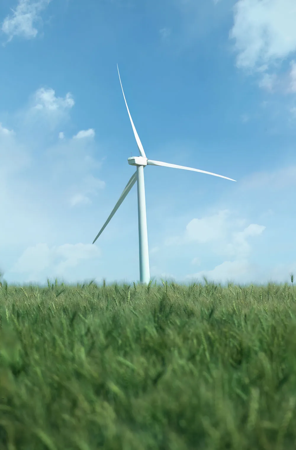 renewables cc license 5 DSC_8961-windmill-wheat-500