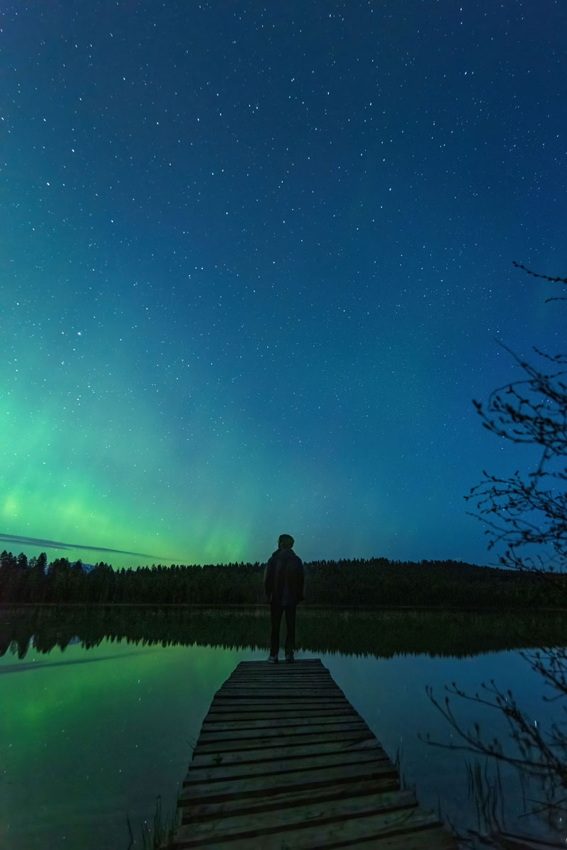 any image canvas prints