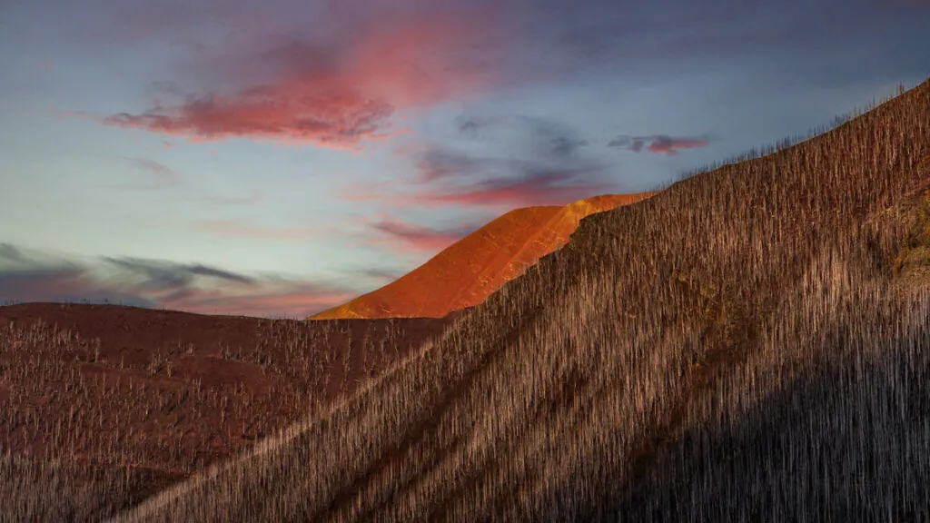 Commercial Image Licensing 7 commercial-before