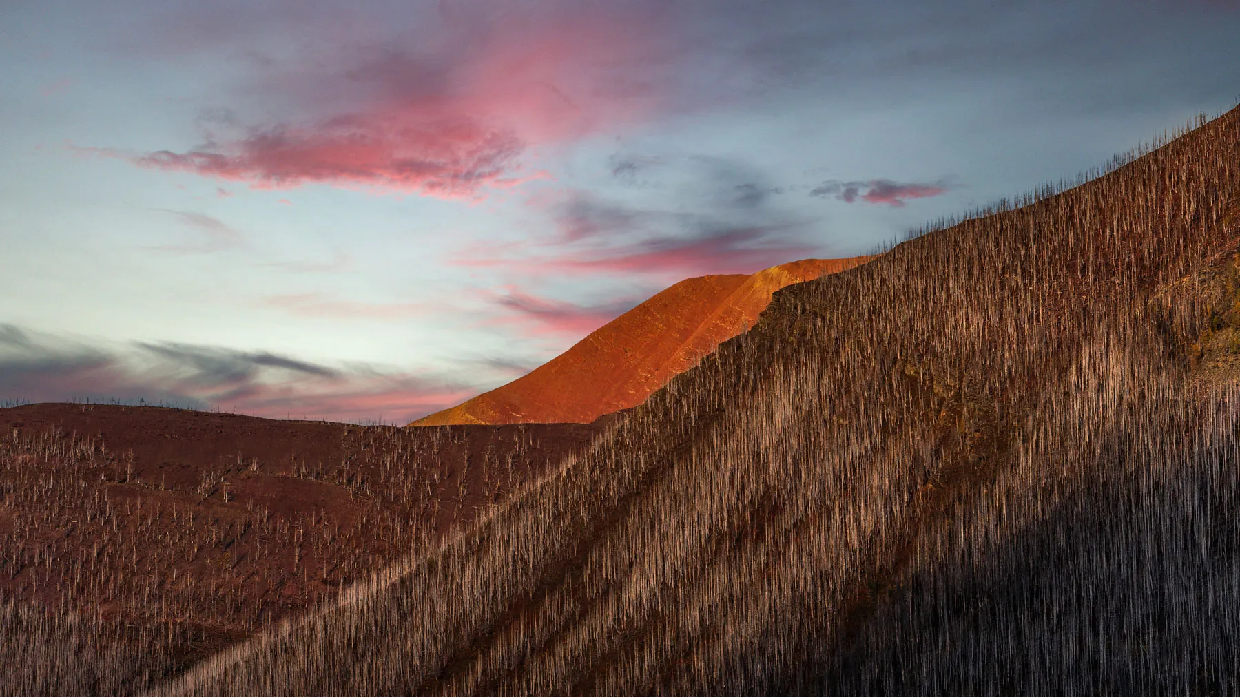 environment 1 1899-scortched Waterton Park