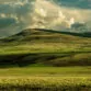 any image canvas prints