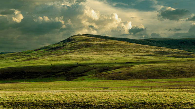 any image canvas prints