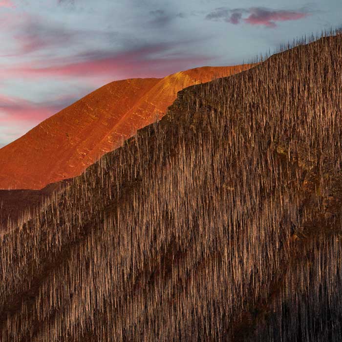 Photos Shop 8 scorched earth