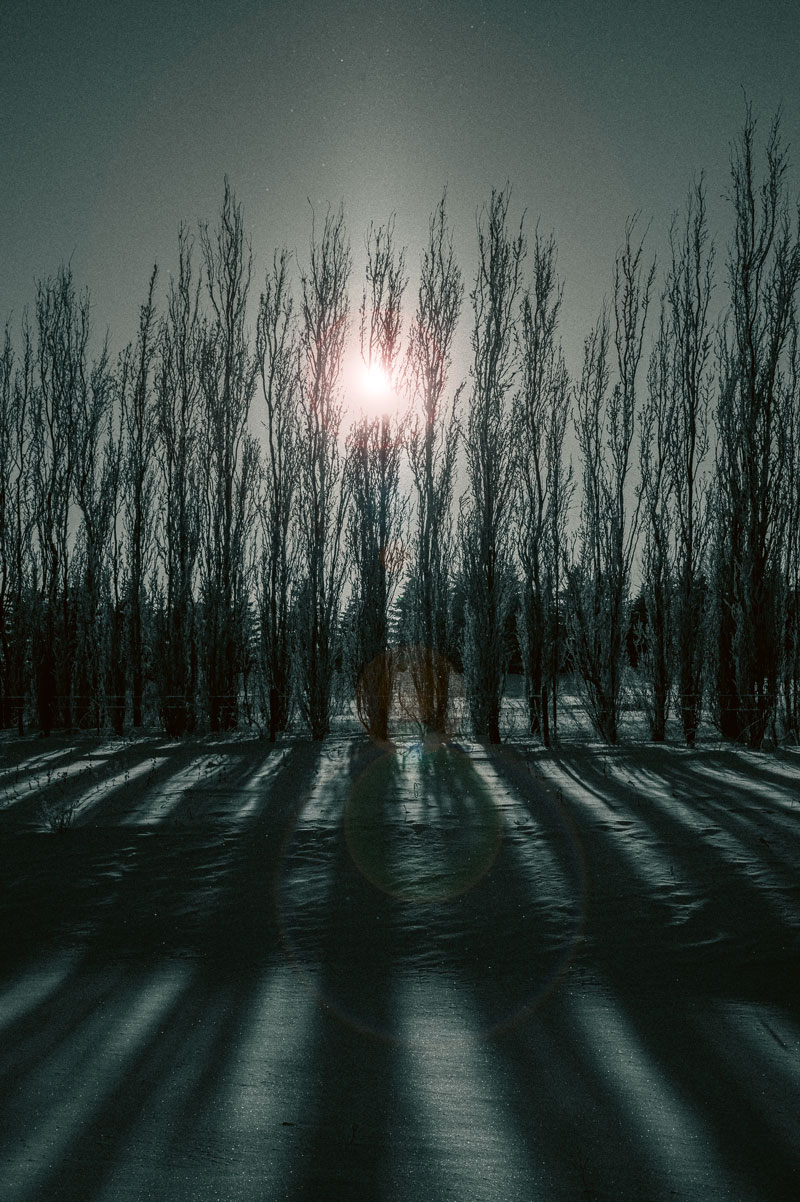 Photos Shop 6 Shadows