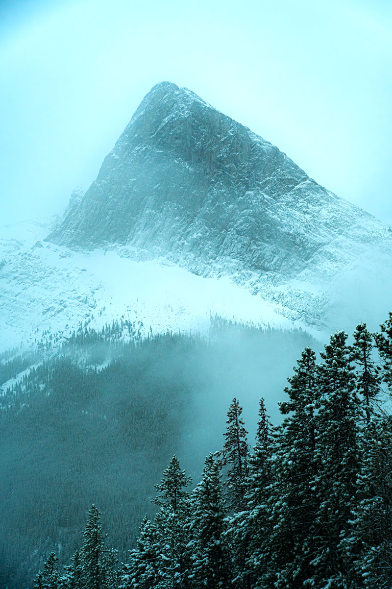 Photos Shop 4 Ha Ling