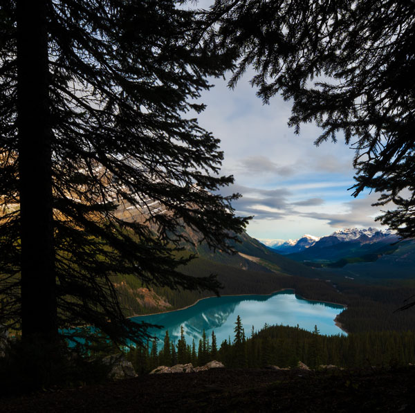 Peyto Lake