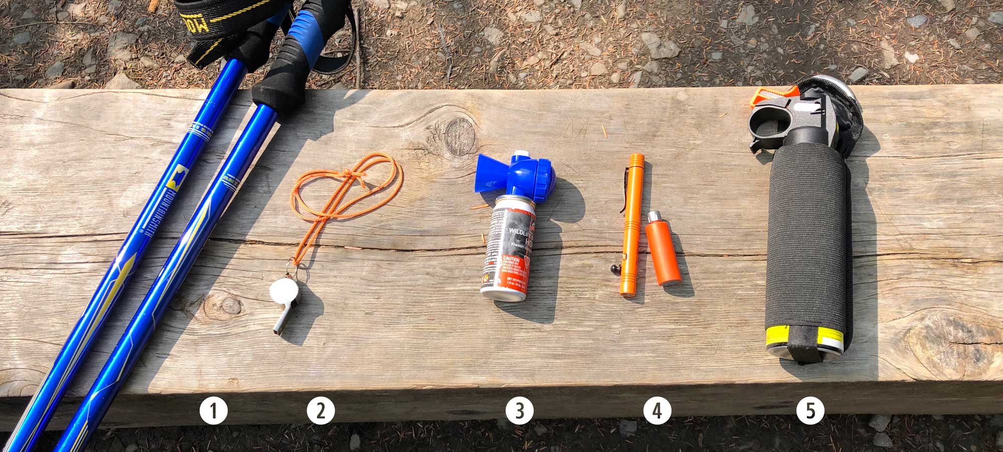 Carry noise makers and bear spray